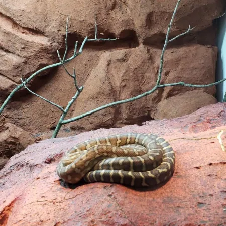 Review #173114, image #2