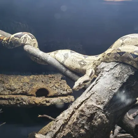 Review #173114, image #1