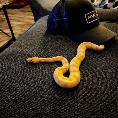 Review #172961, image #1