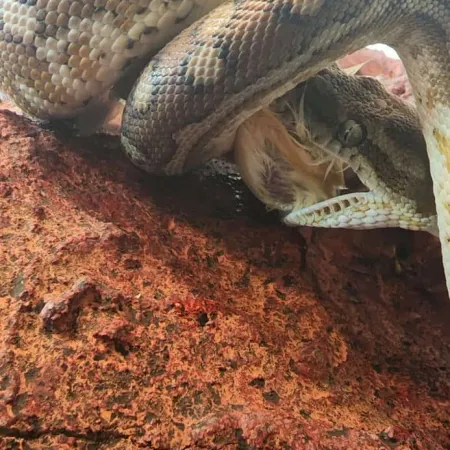 Review #173010, image #1