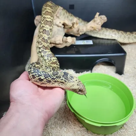 Review #173266, image #1