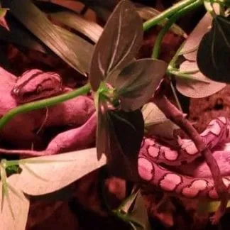 Review #173225, image #2