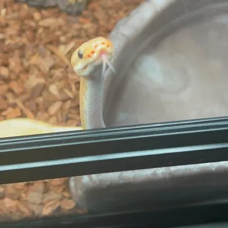 Review #173308, image #2