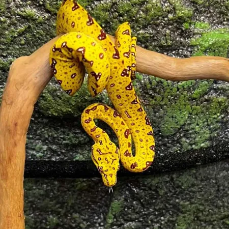 Review #172789, image #2