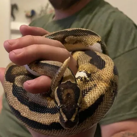 Review #173296, image #1