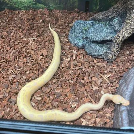 Review #173308, image #1