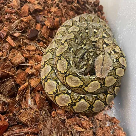 Review #172582, image #1