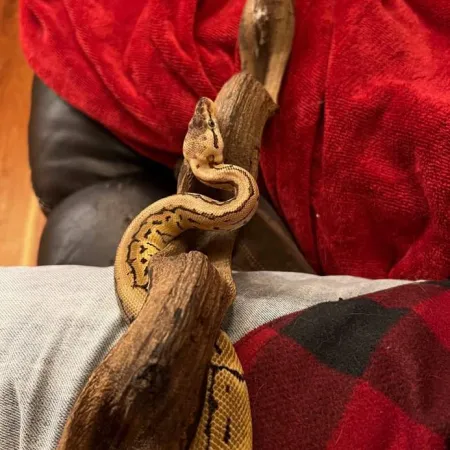 Review #172789, image #1