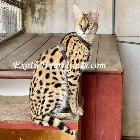 Review #172795, image #1