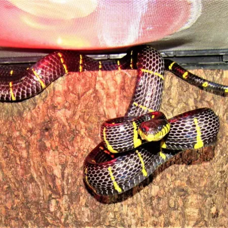 Review #173418, image #1