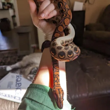 Review #173013, image #3