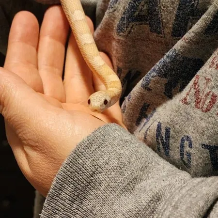 Review #173067, image #2