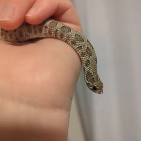 Review #173067, image #3