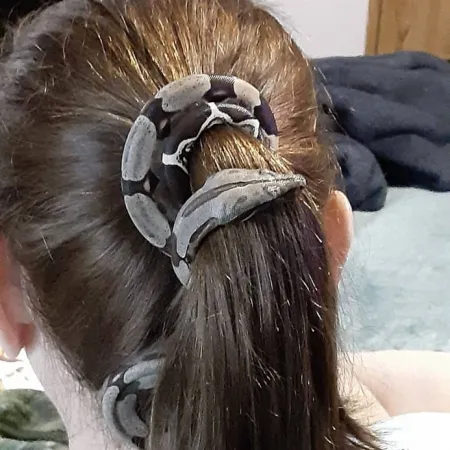 Review #172652, image #1
