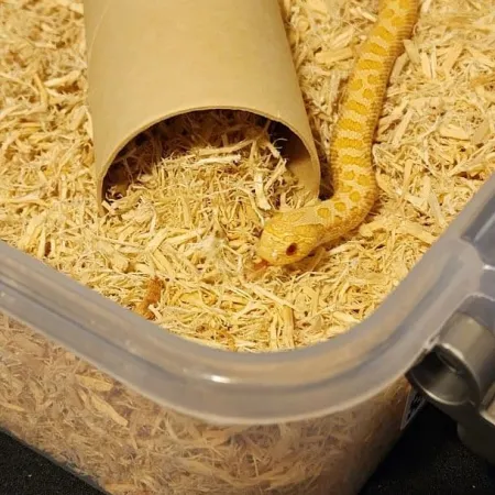 Review #173067, image #1