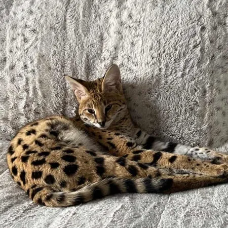 Review #172867, image #1