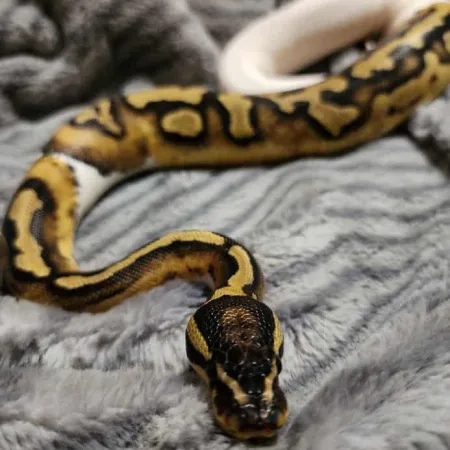 Review #173754, image #1