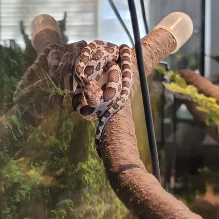 Review #174102, image #4