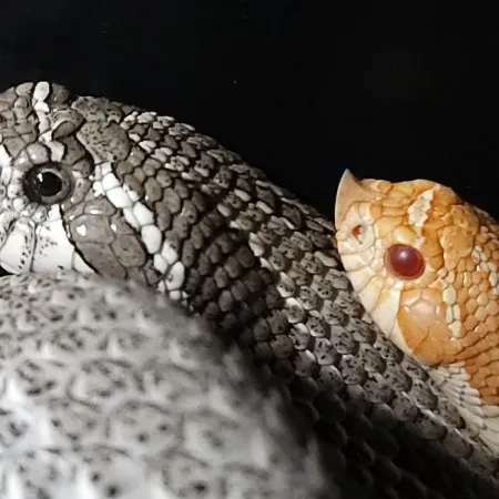 Review #173876, image #3