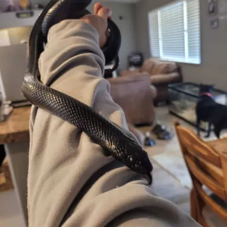 Review #174102, image #3