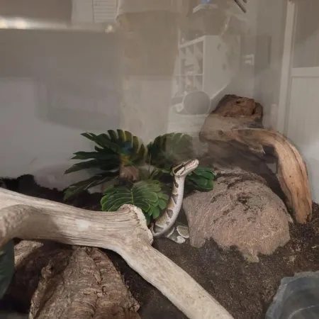 Review #174102, image #2