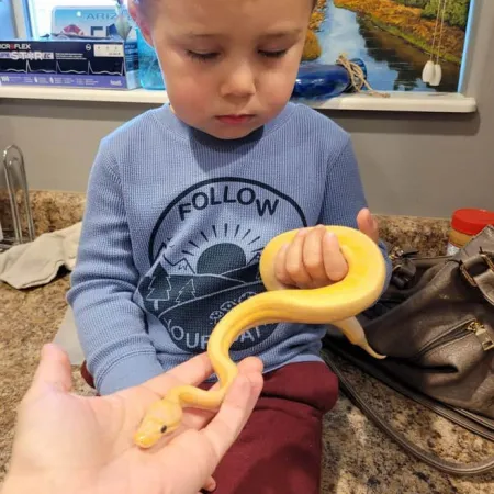 Review #174102, image #1