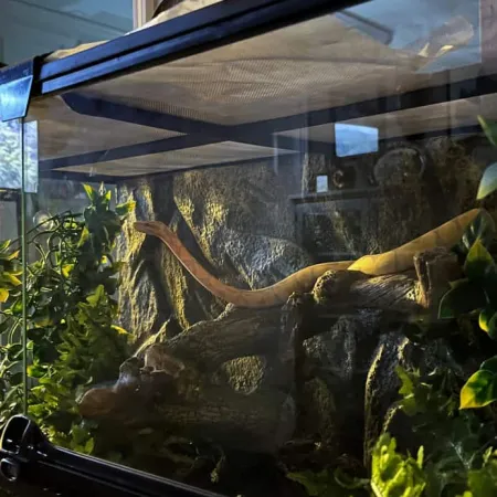 Review #173786, image #1