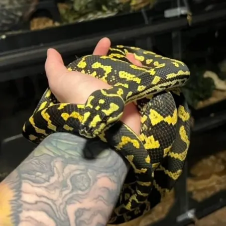 Review #173551, image #1