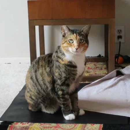 Review #174232, image #2