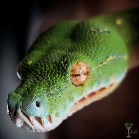 Review #173876, image #2