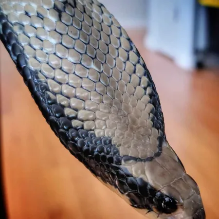 Review #173876, image #1