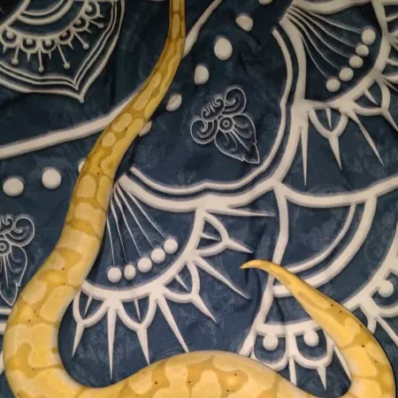 Review #173560, image #1