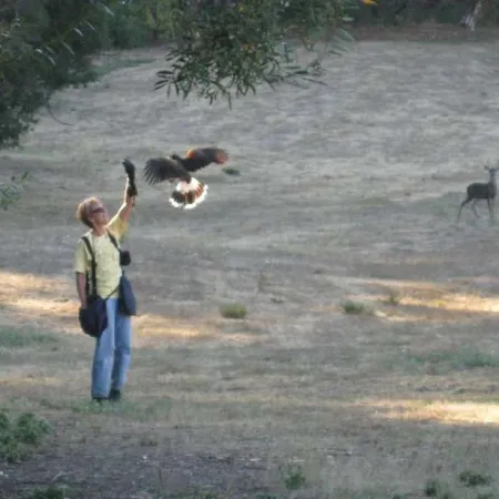 Review #174288, image #1