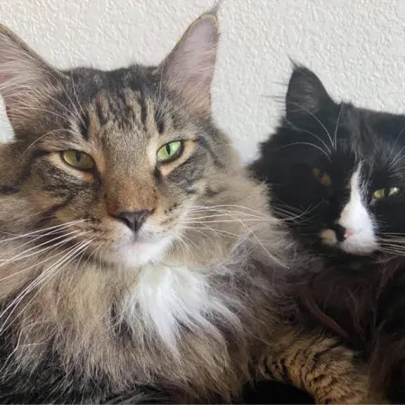 Review #174363, image #1