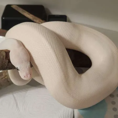 Review #174978, image #1