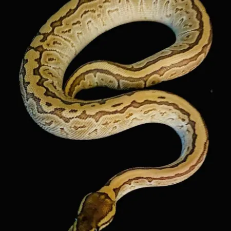 Review #175129, image #2