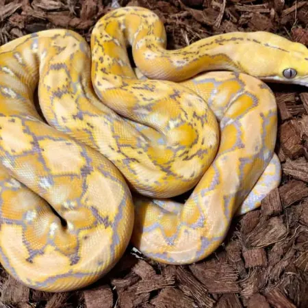 Review #175224, image #1