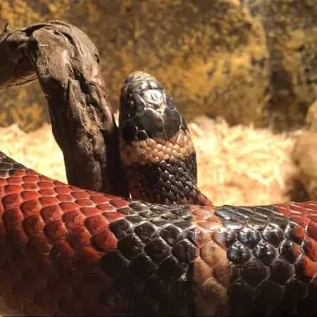 Review #174878, image #1