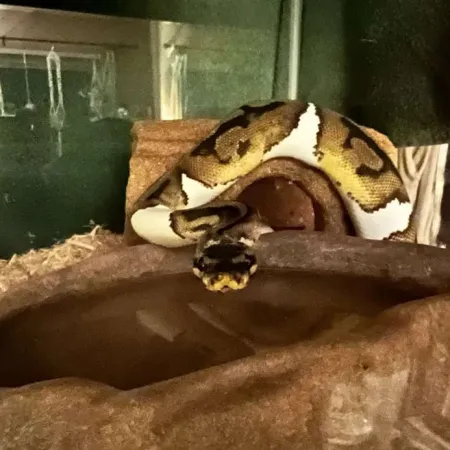 Review #175205, image #2