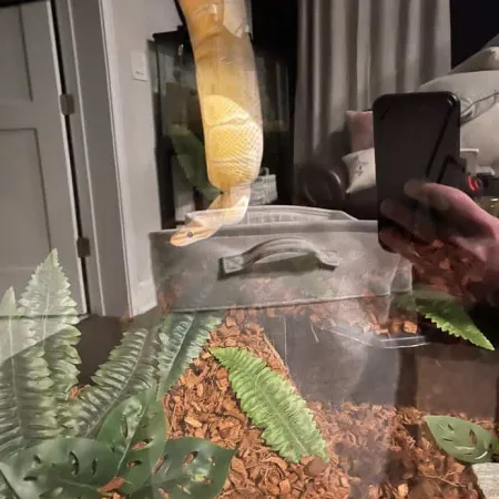 Review #175455, image #1