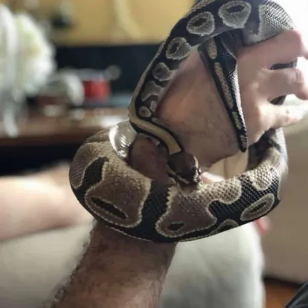 Review #175259, image #1