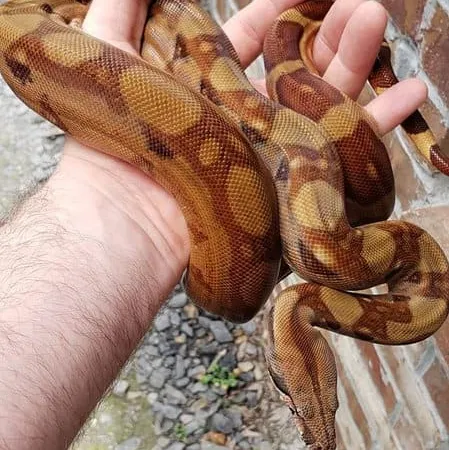 Review #175369, image #2