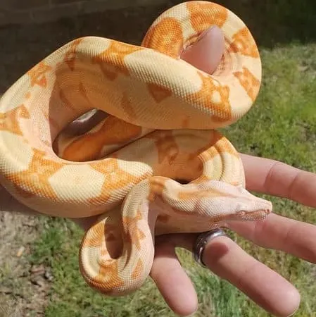 Review #175369, image #1