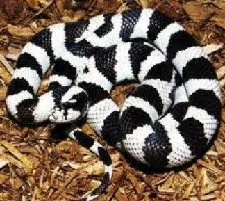 Review #175530, image #1