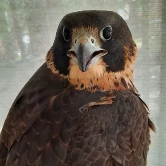 Review #175941, image #2