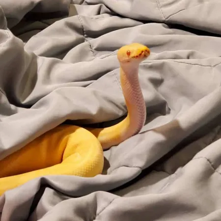 Review #175929, image #1