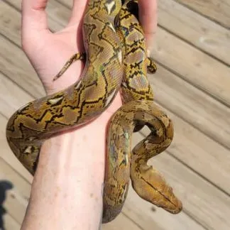 Review #176170, image #1