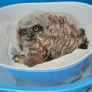 Review #175941, image #1