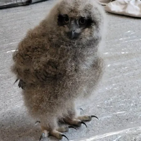 Review #176427, image #1