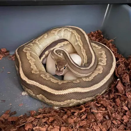 Review #176055, image #1